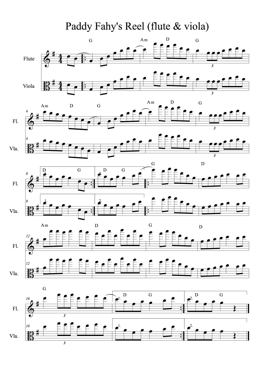 PaddyFahyReel(flute&viola)