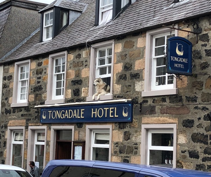 Tongadale Hotel